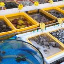 태안팜랜드 이미지