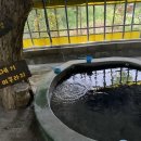 강릉아기동물농장 이미지