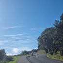 웰링턴뷰 이미지