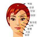 대지-생명 네이버블로그