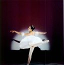 로잔발레학원 이미지