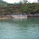 영남횟집 이미지