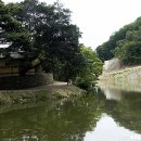 울진물회 이미지