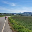 서산기쁨농장 | 백제의 미소를 찾아서.. 서산, 예산, 수덕사, 해미