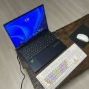 김수환무네 이미지