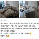 까사미아충주점 | 원주소파청소 원주 까사미아소파 집먼지진드기 제거 및 소파 살균 소독 후기