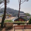 달마사 이미지