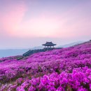 찍다