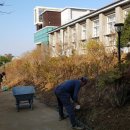 동강중학교