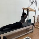 필라테스파인트리