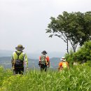 조선시대 이미지