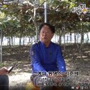 호암농장 이미지