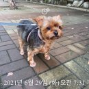 누리떡집 이미지