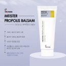 레푸스 정자점 이미지