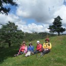 대관령마루길 이미지