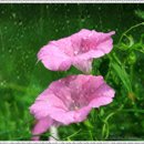 은영농장 이미지