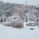 몽더가든