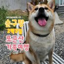 군산 남중학교 | 애견동반 가족여행 또군산여행(구도심, 장자도, 선유도)