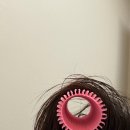 주식회사 머다 | 대왕 후크롤 후기 | 정수리 볼륨 고민 해결! 사용 후기