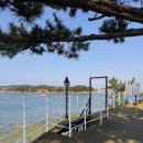 토끼와거북이2 | 사천 비토섬 토끼와거북이 펜션 205호 온돌방 내돈내산 재방문 후기