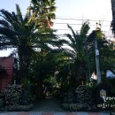 밸리 통나무 빌리지 이미지