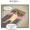 포바디짐 이미지