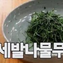 알토란 세발나물 무침 레시피 만드는 법 제철 뜻 이미지
