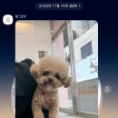 빵그루밍 이미지