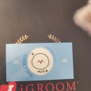 커들리 독 이미지