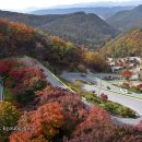속리산 - 성남시 중원구 시민로117번길 2 | 속리산