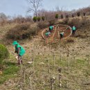 동산정비 뉴스충청인