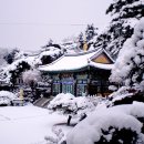 고향 Daum카페