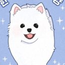 한끼멍냥 네이버블로그