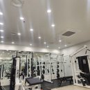 포지 피티 스튜디오 이미지