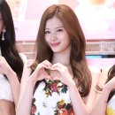 사나 - 의성군 | 사나