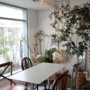 프라한 남천점 이미지