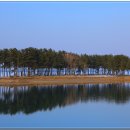 감천목장 이미지