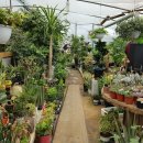 송암농원 이미지