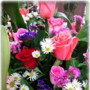 지노메디 이미지