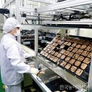 호수기획(주) 이미지