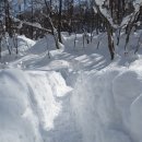 인제14-2 이미지