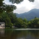 마포농수산물시장 이미지