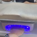 도봉-쌍문-도봉-1218 | [쌍문역네일] 편안한 분위기에 애견동반도 가능한 네일아트 맛집 '생화네일' 추천 후기