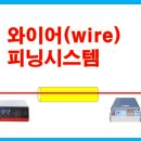 피닝