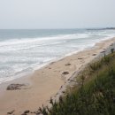 고래불 해수욕장 이미지