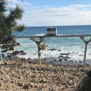 원평반점 | 울진-삼척-강릉 여행기