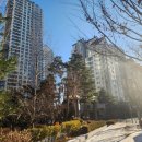 세무법인청연원역삼지점