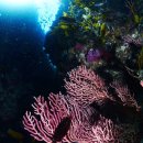 그루밍제주 이미지