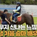 송곡승마교육원 이미지