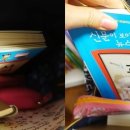 가나 전집 이미지